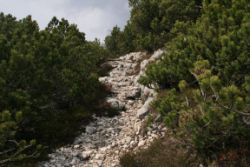 2011-04-24_Regina-F-Rau_Brunnstein-Spitze (097).JPG